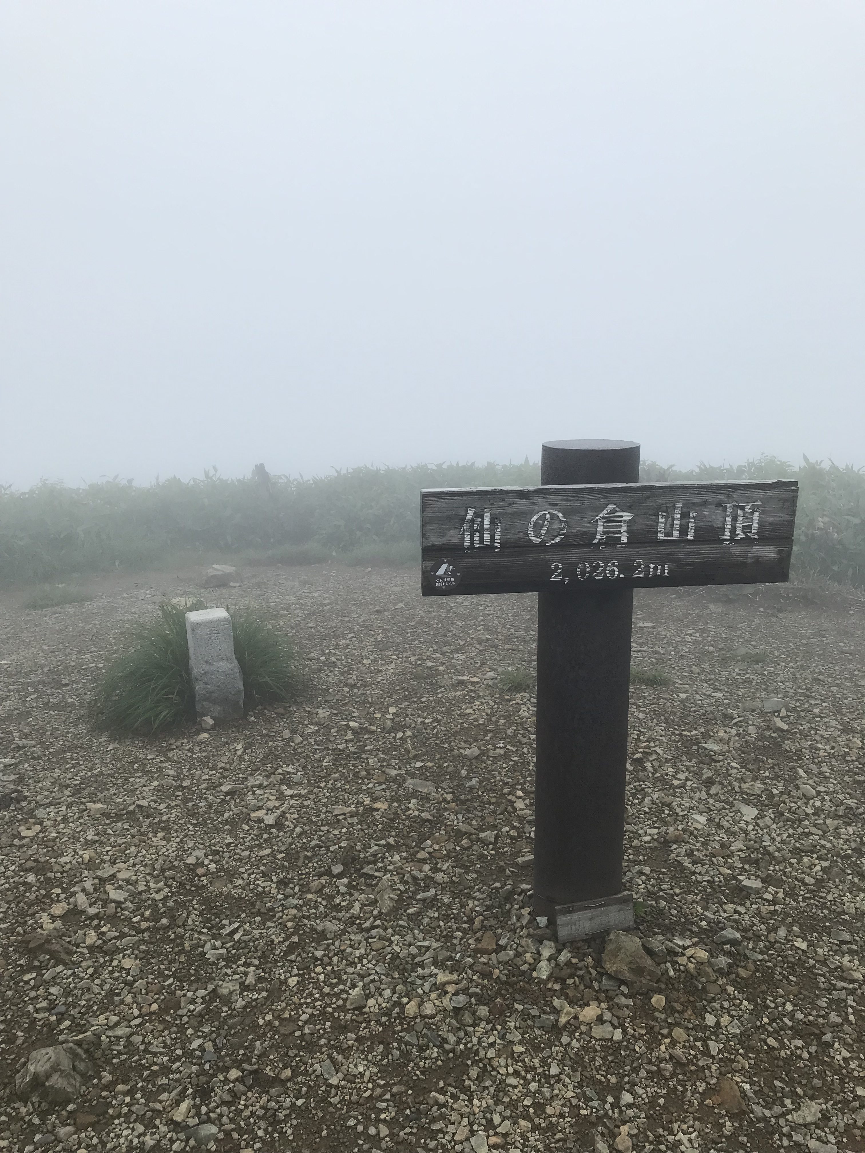 強風と雨の中、挑んだ登山記【仙ノ倉山(2026m)】