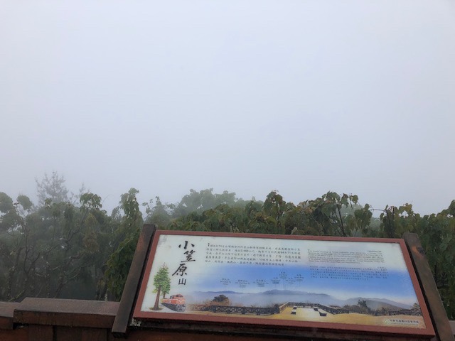 阿里山の霧と雨に包まれた小笠原山探訪【小笠原山観景台】